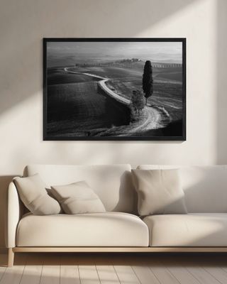 Morning in the field