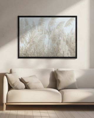 Wild Pampas Reed And Nature’s Beauty