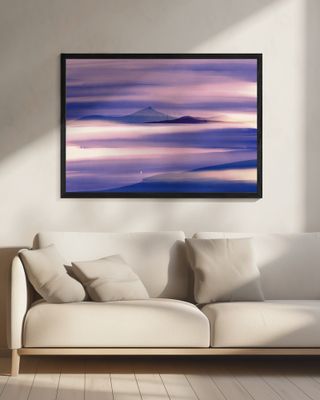 Lone seagull in purple nature