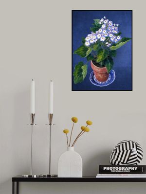 Cineraria, By Josephine