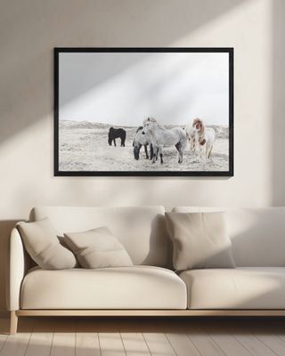 Wild and Free Horses Of Iceland