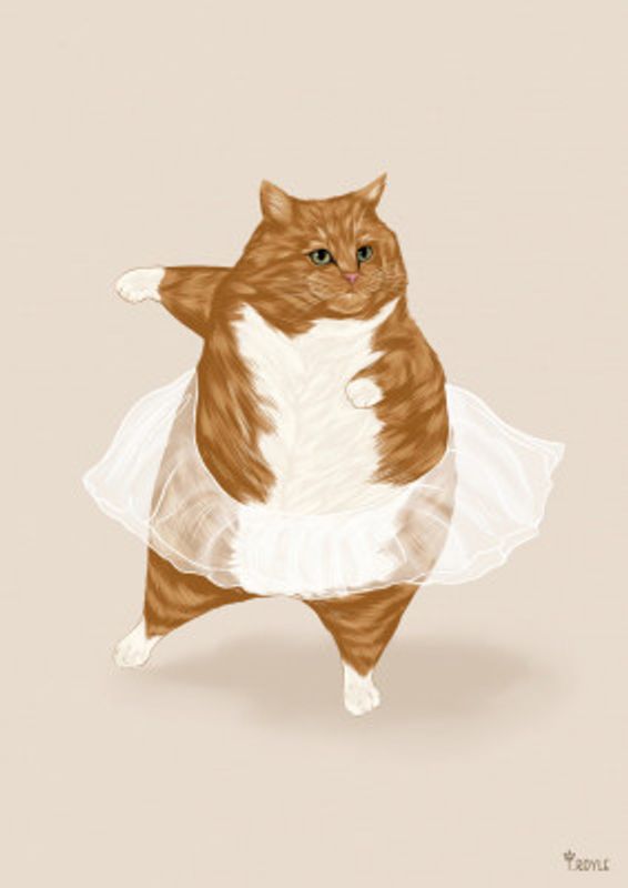 Ballet Cat - 'I can do anything I dream of'