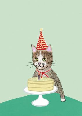 Birthday cat