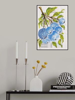 Branch with blue berries Nature study with watercolors