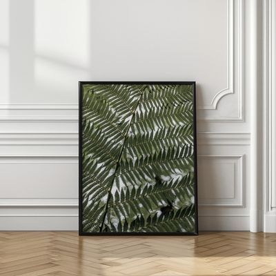 Lush Green Fern
