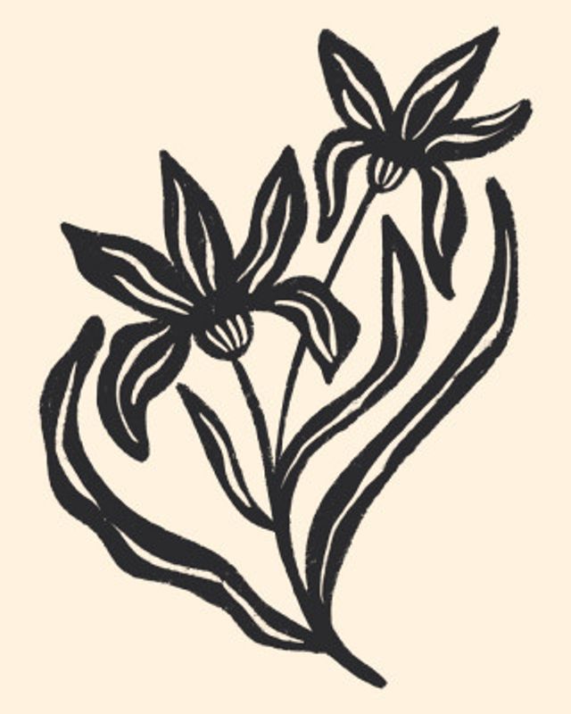 Two Stylized Flowers With Flowing Leaves