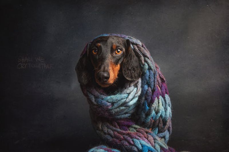 Melancholy,  or....Shall we cry together...