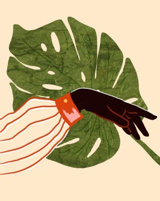 Green Canvas, Red Accent