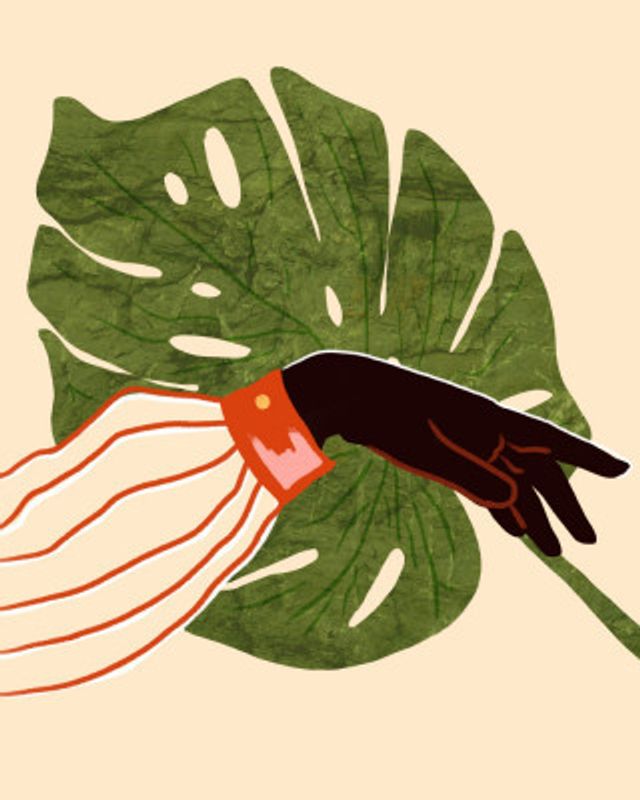 Green Canvas, Red Accent