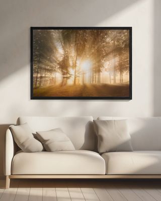 Blinded by the light