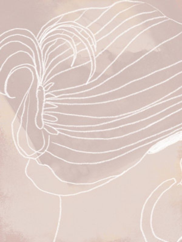 Delicate Petal Lines