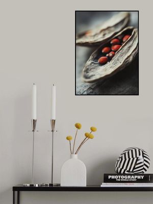 Crimson Seeds Unveiled