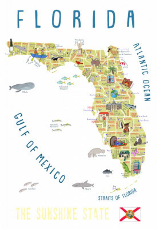 Illustrated Map of Florida by Artist Carla Daly