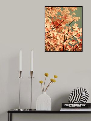 spring arrived with pink flowers