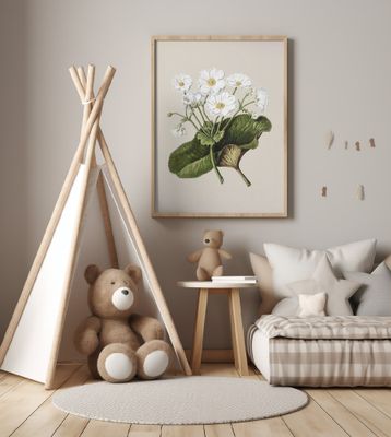 The Mountain Lily Drawn By Sarah Featon (1848–1927)