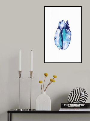 Blue Seashell On White Background No5