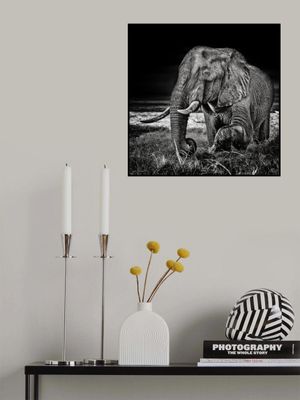 sunset at the waterhole