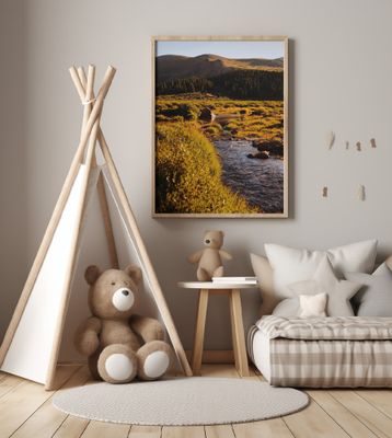 Guanella Pass Stream Crossing