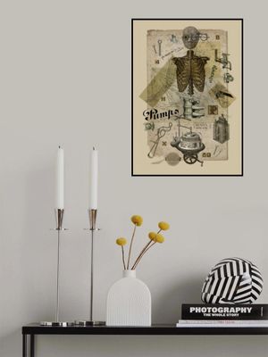 Body In Metamorphosis