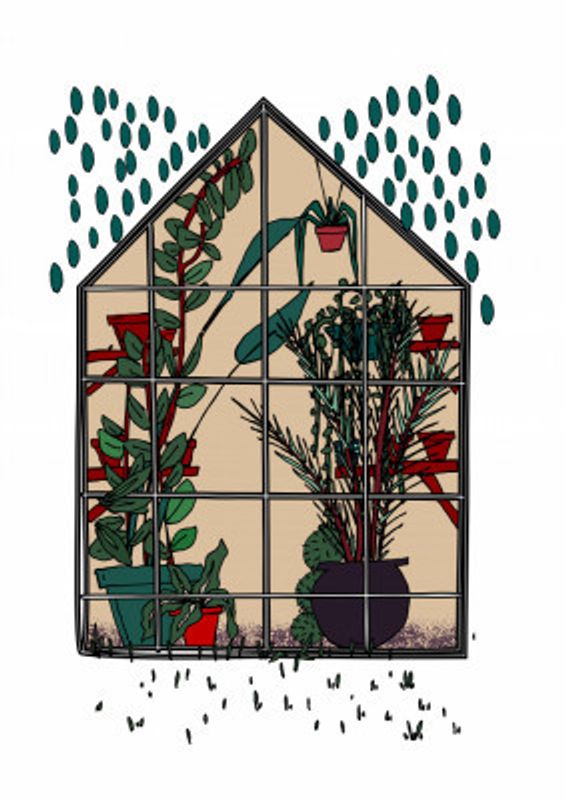 Greenhouse Illustration