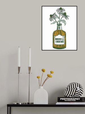 Tequila Potted Florals