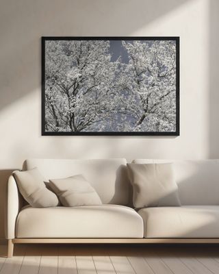 Ethereal White Bloom