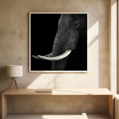 Elephant profile
