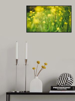 Vibrant Yellow Wild Flowers