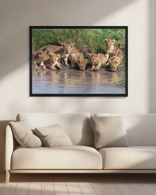 Putting the band back together....