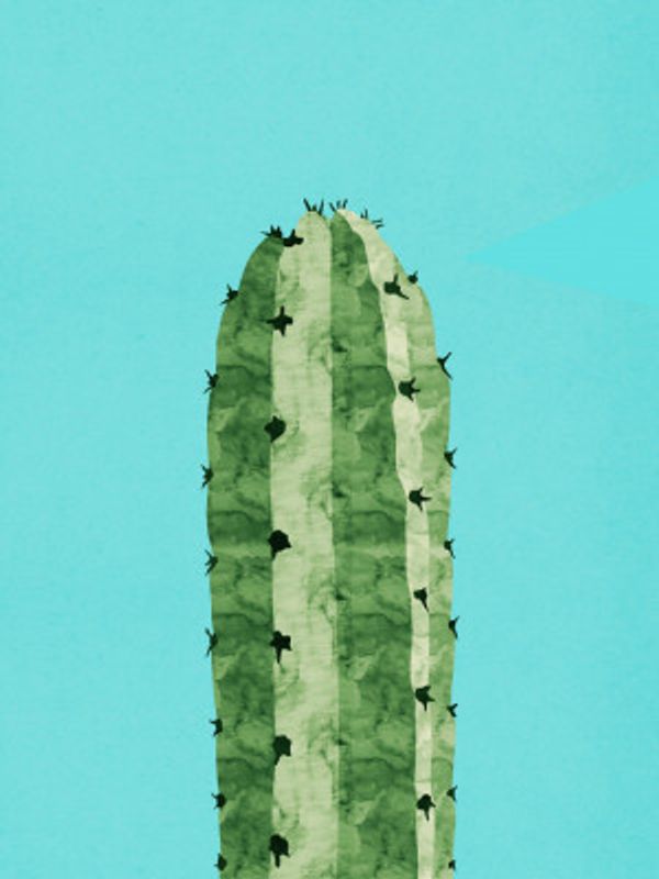 Stylized Cactus