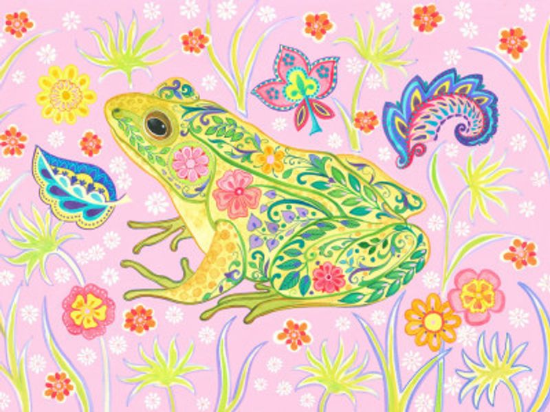 Green and Pink Frog