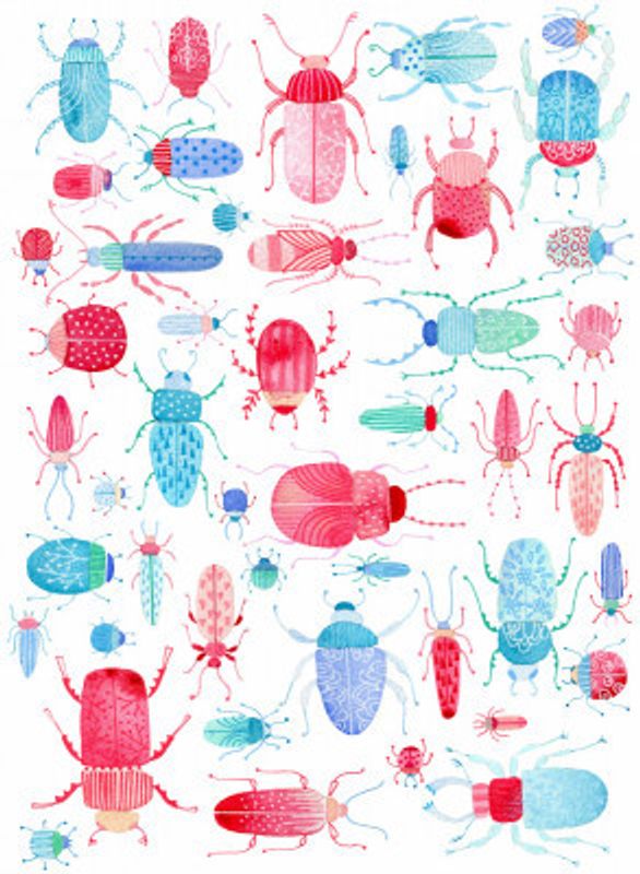 Watercolor Bugs And Beetles