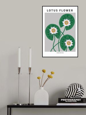 Lotus flower - National flower of  India