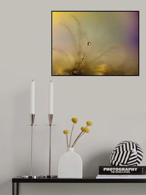 Feeling of a new day