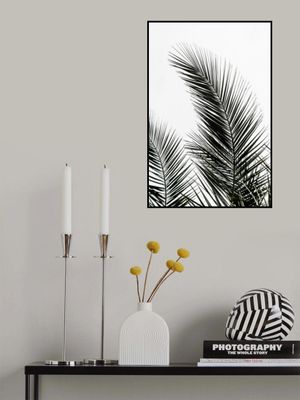 Palm Leaves 1