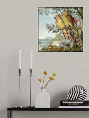 Parakeets Over the River Severn