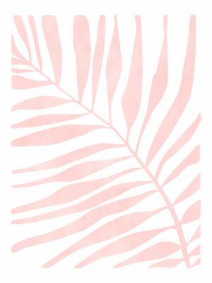 Soft Pink Palm