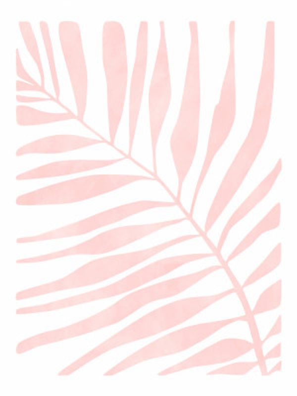 Soft Pink Palm