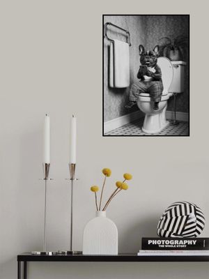 Bathroom French Bulldog