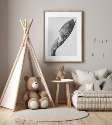 Aristolochia clematitis