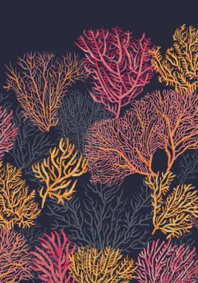 Gorgonia Underwater Garden