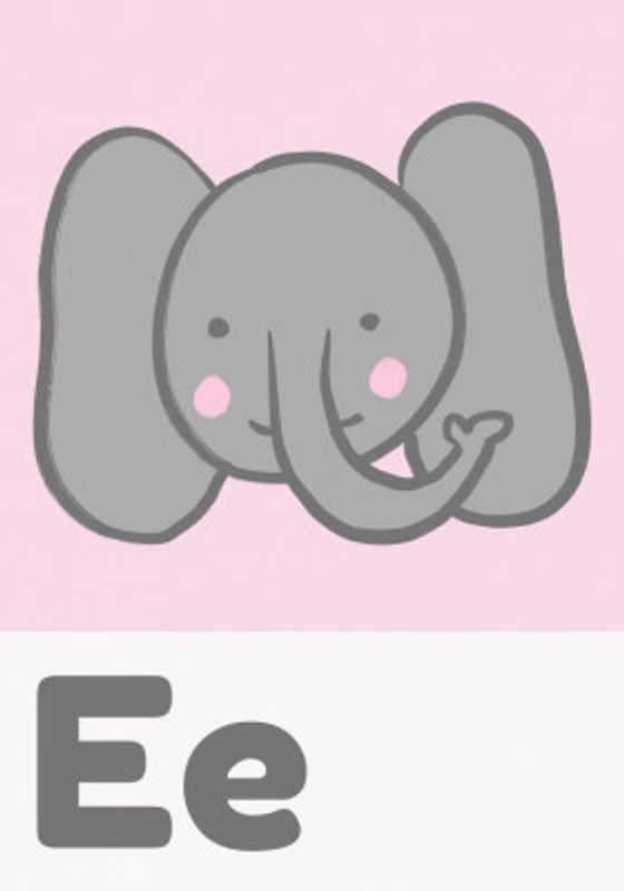 Cute Elephant