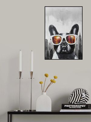 Bulldog - Too cool for School