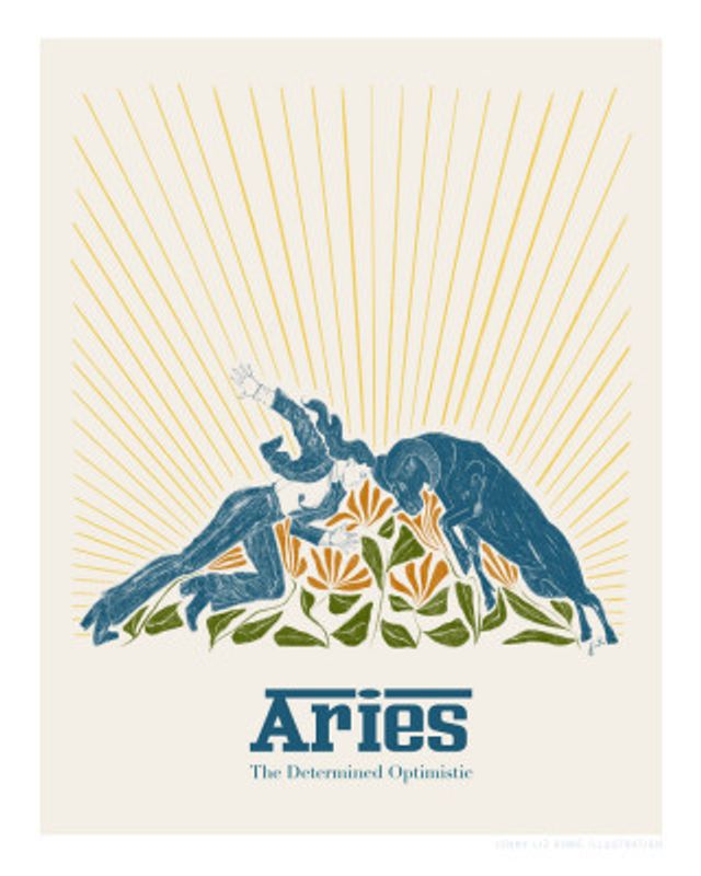 Jlr Aries Copy