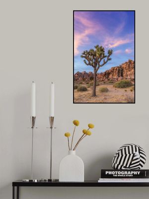 Joshua Tree Evening Atmosphere