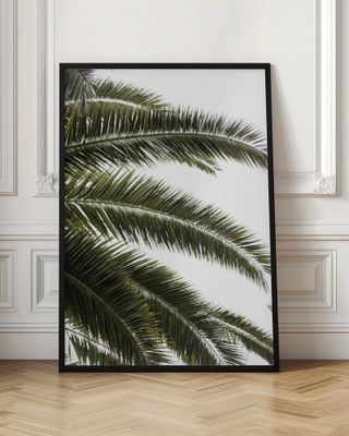 Tropical Green Palms