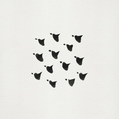 Birds In Flight   Flock