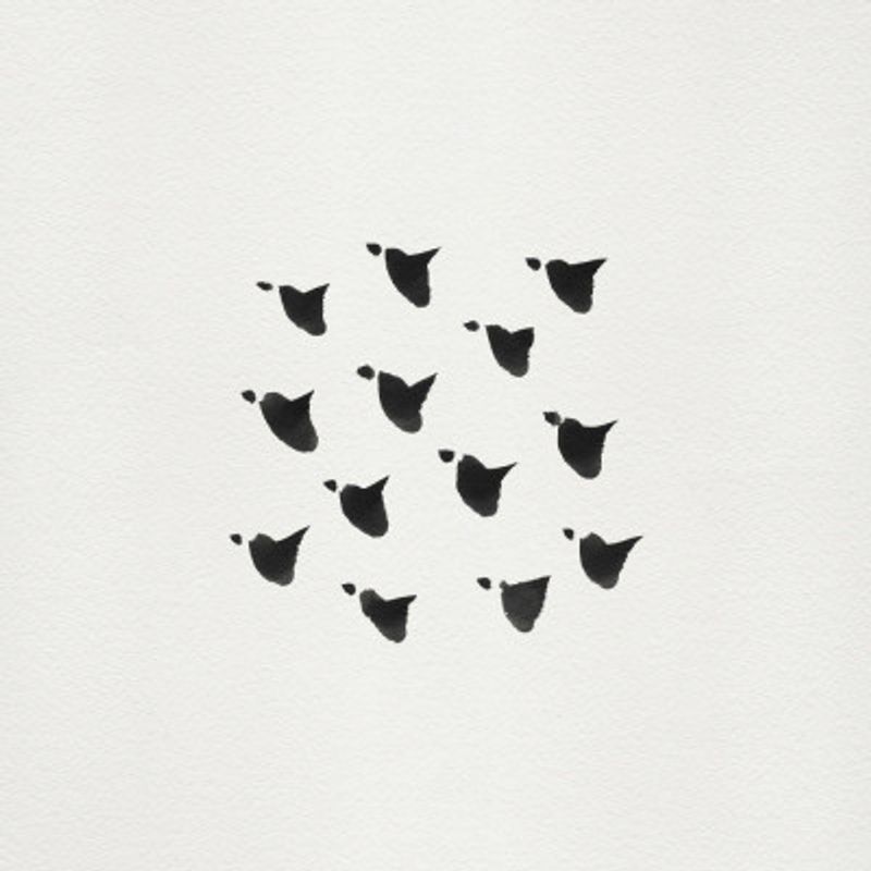 Birds In Flight   Flock