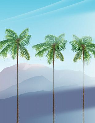 Tropical Plam Trees