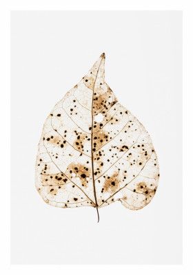 Dotted Leaf Elegance